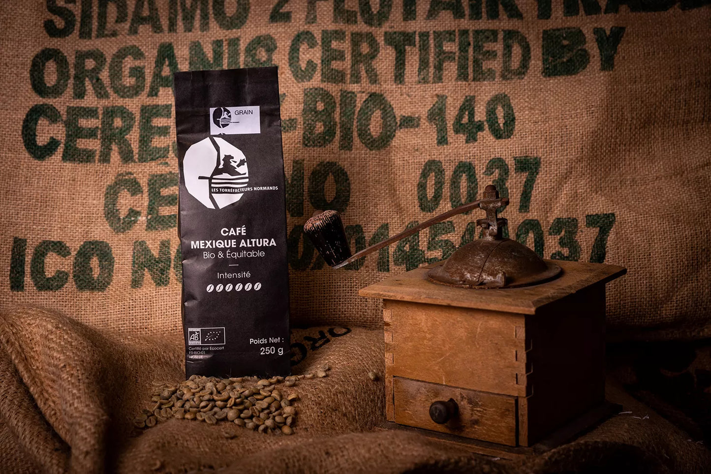 Les Torréfacteurs Normands – Mexique BIO & Équitable – 250g – Café moulu