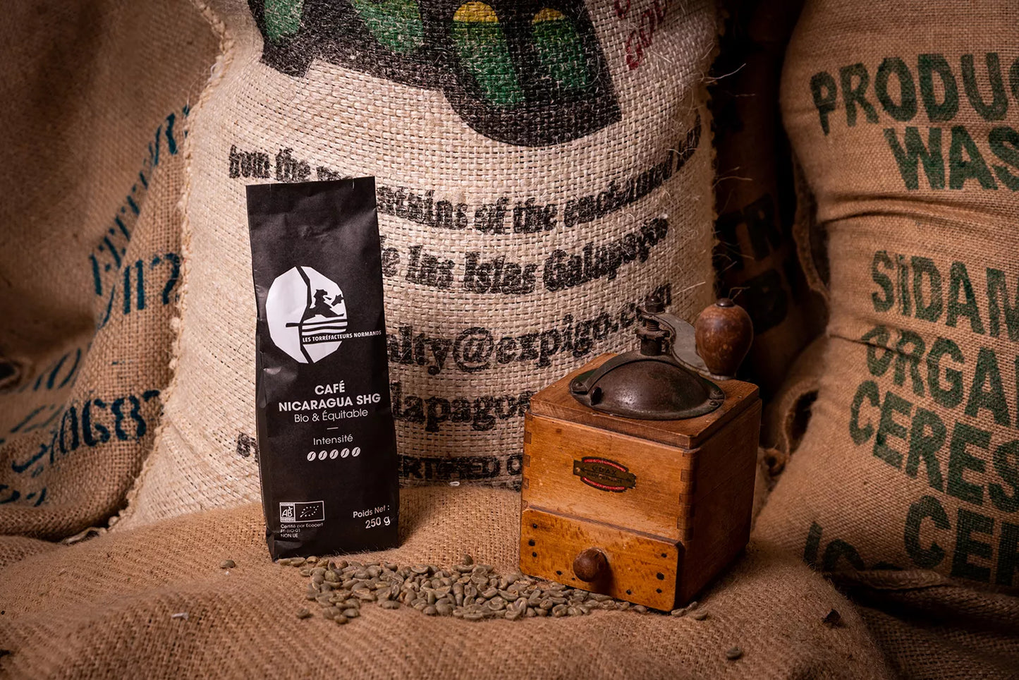 Les Torréfacteurs Normands – Nicaragua BIO & Équitable – 250g – Café en grain