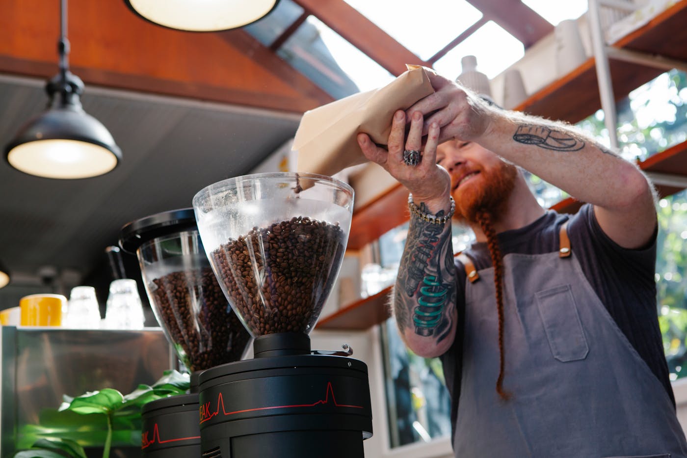Barista versant des grains de café dans un moulin professionnel.