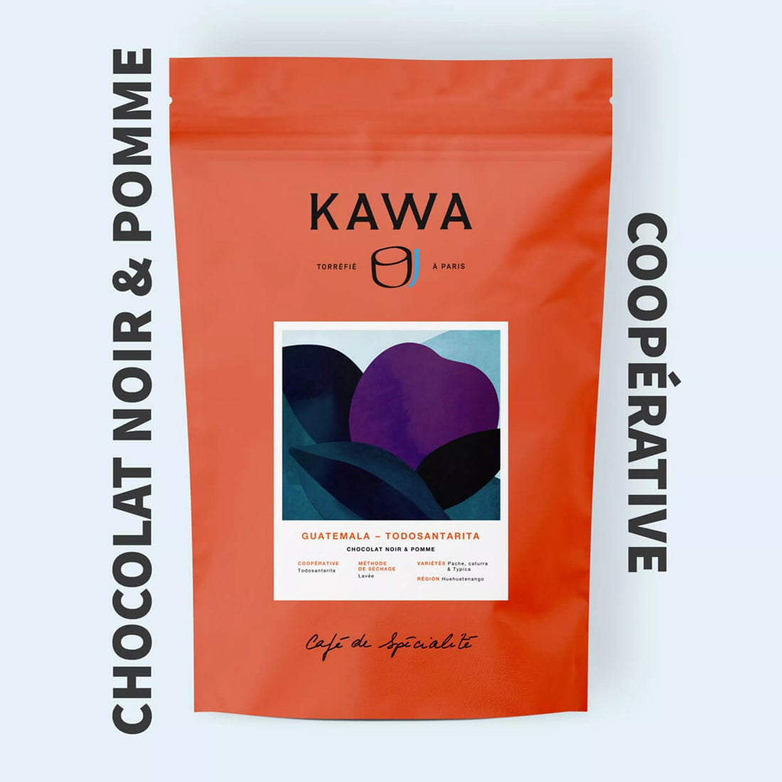 Paquet TANAT Todosantarita Guatemala café en grains.