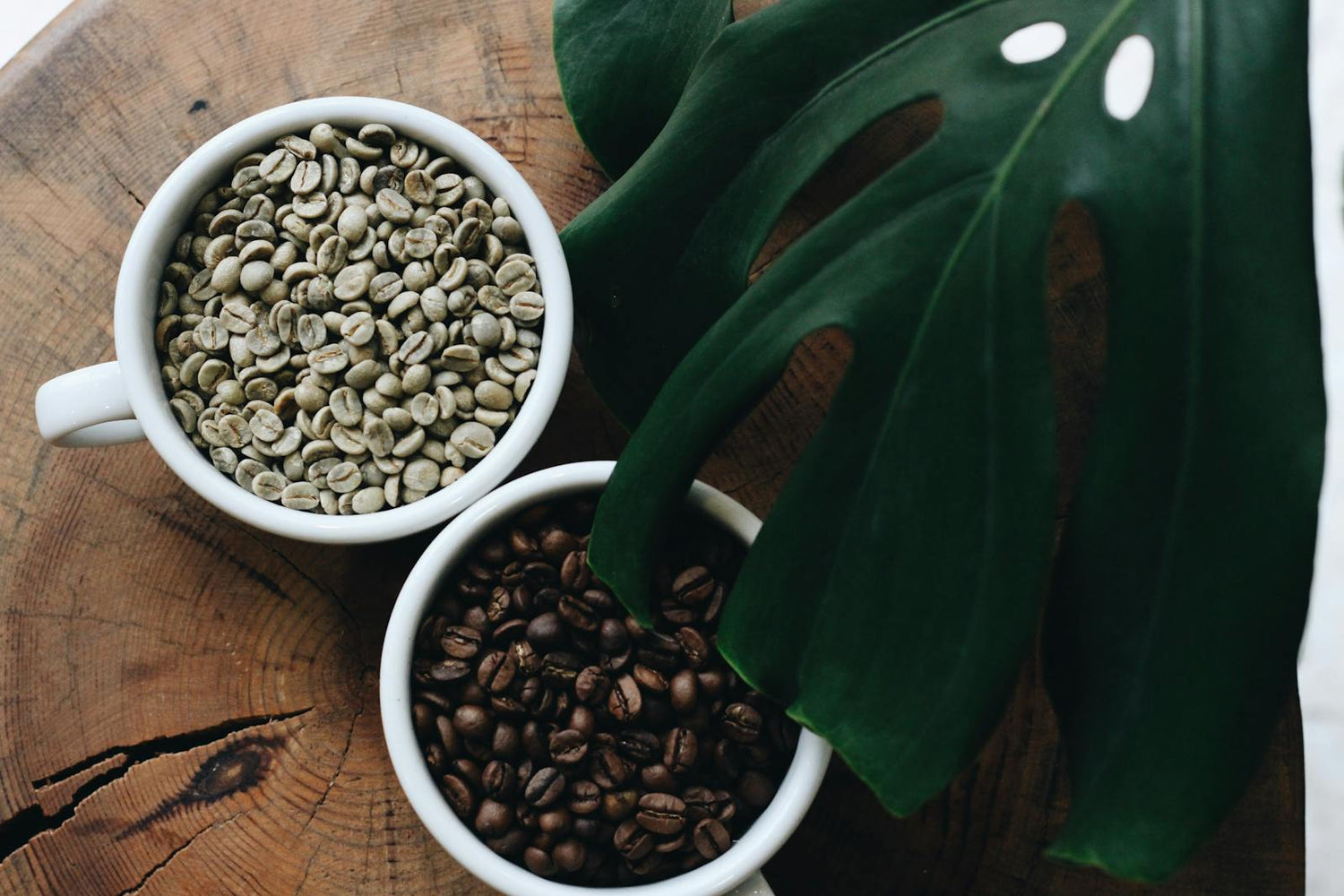 Grains de café verts et torréfiés dans deux tasses avec une feuille verte.