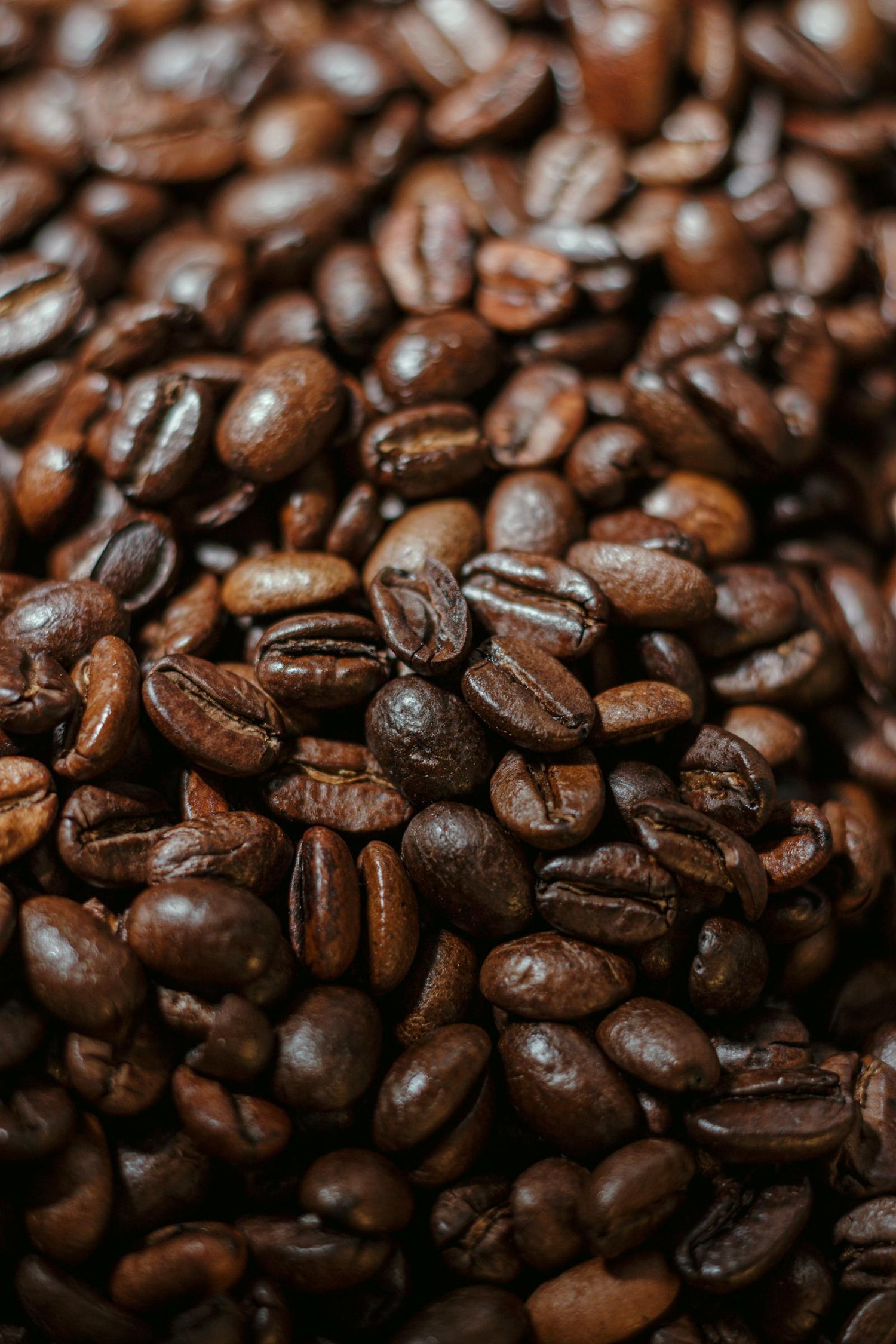 Gros plan de grains de café torréfiés foncés.