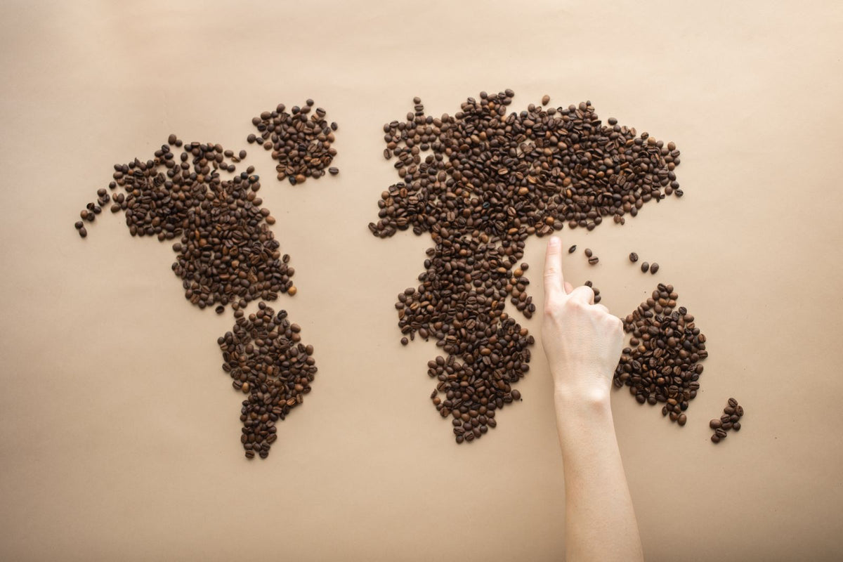 Carte du monde formée avec des grains de café, avec une main pointant une origine.