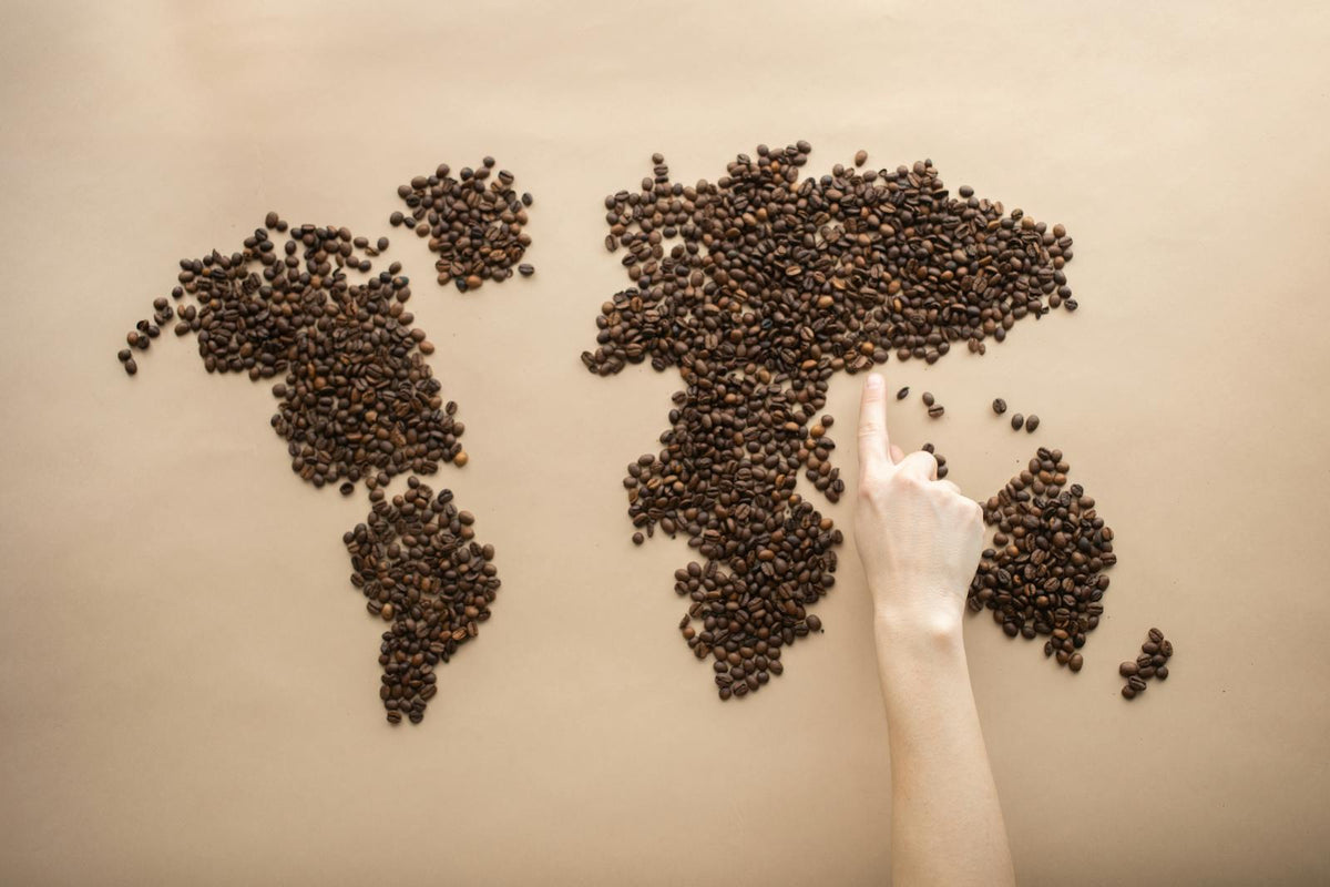 Carte du monde formée avec des grains de café, avec une main pointant une origine.