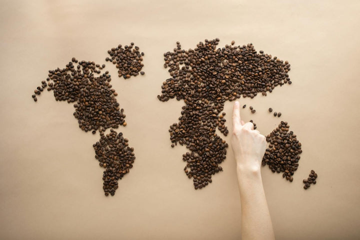 Carte du monde formée avec des grains de café, avec une main pointant une origine.