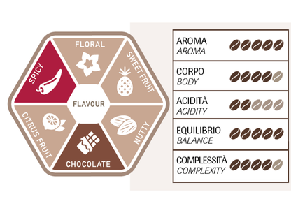 Torrefazione Adriatica – Inde 100% Arabica – 250g – Café en grain - café en grain - visuel 4