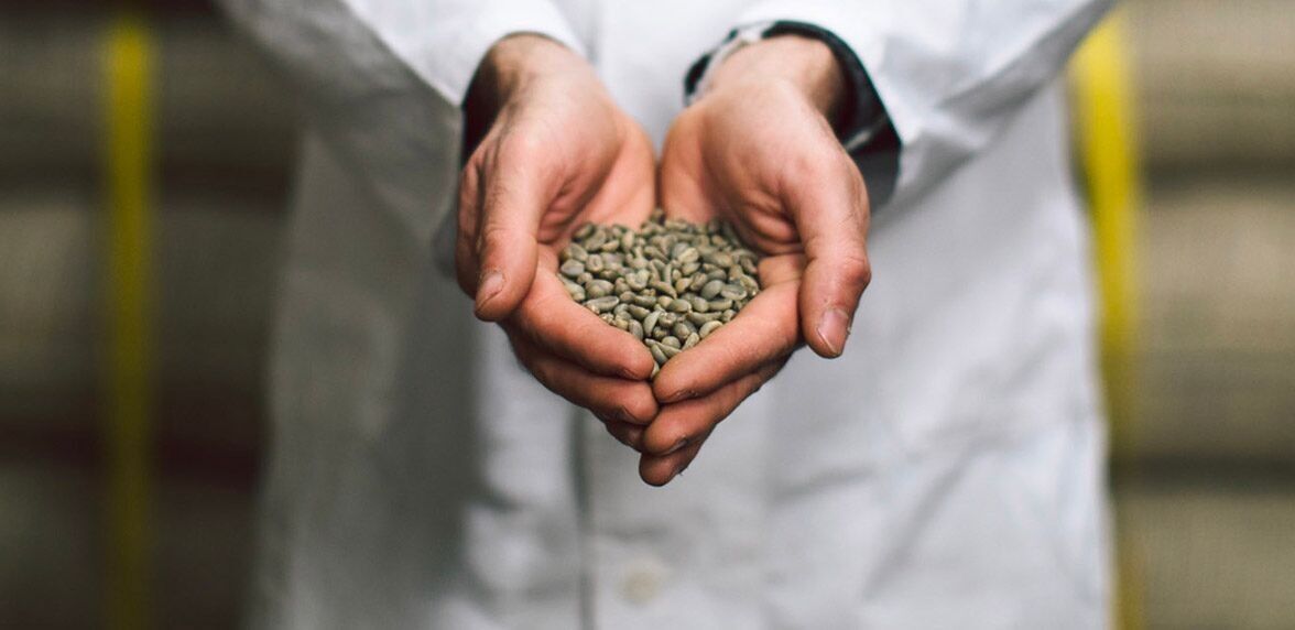 Corsini Guatemala 100% Arabica 250g - café en grain, détail