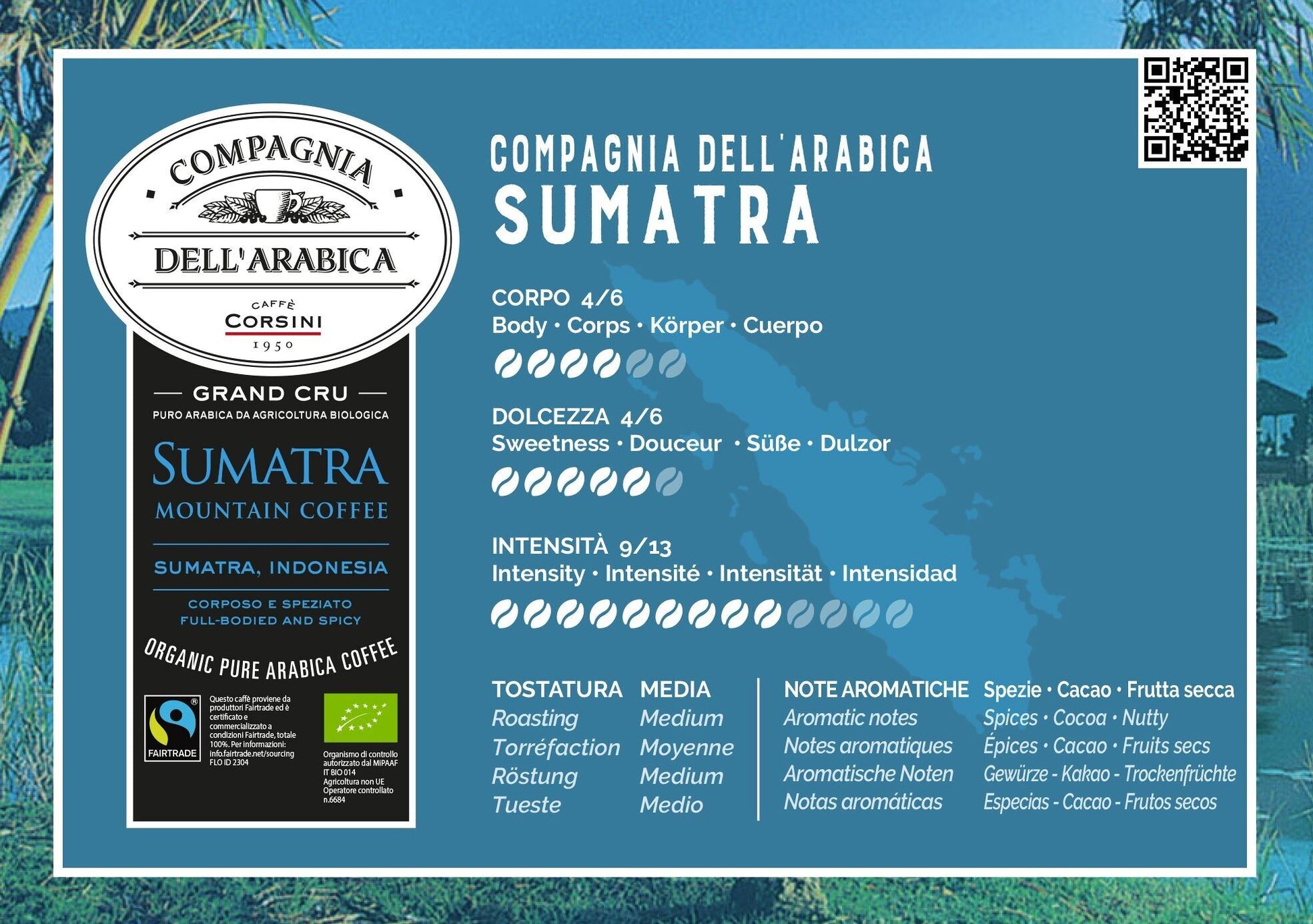 Corsini Sumatra Bio & Équitable Indonésie 250g - café en grain, paquet de dos