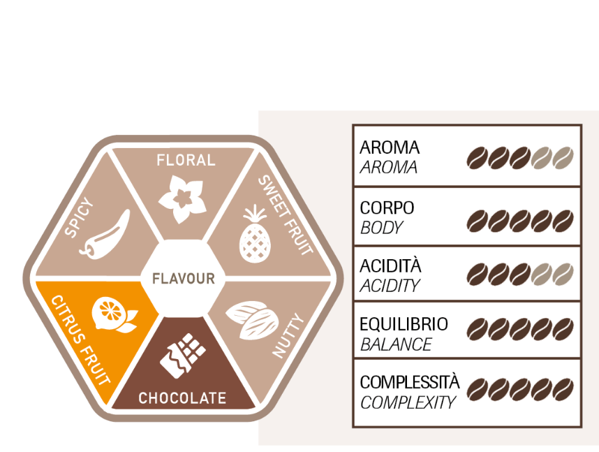 Torrefazione Adriatica – Pérou 100% Arabica – 250g – Café en grain - café en grain - visuel 3