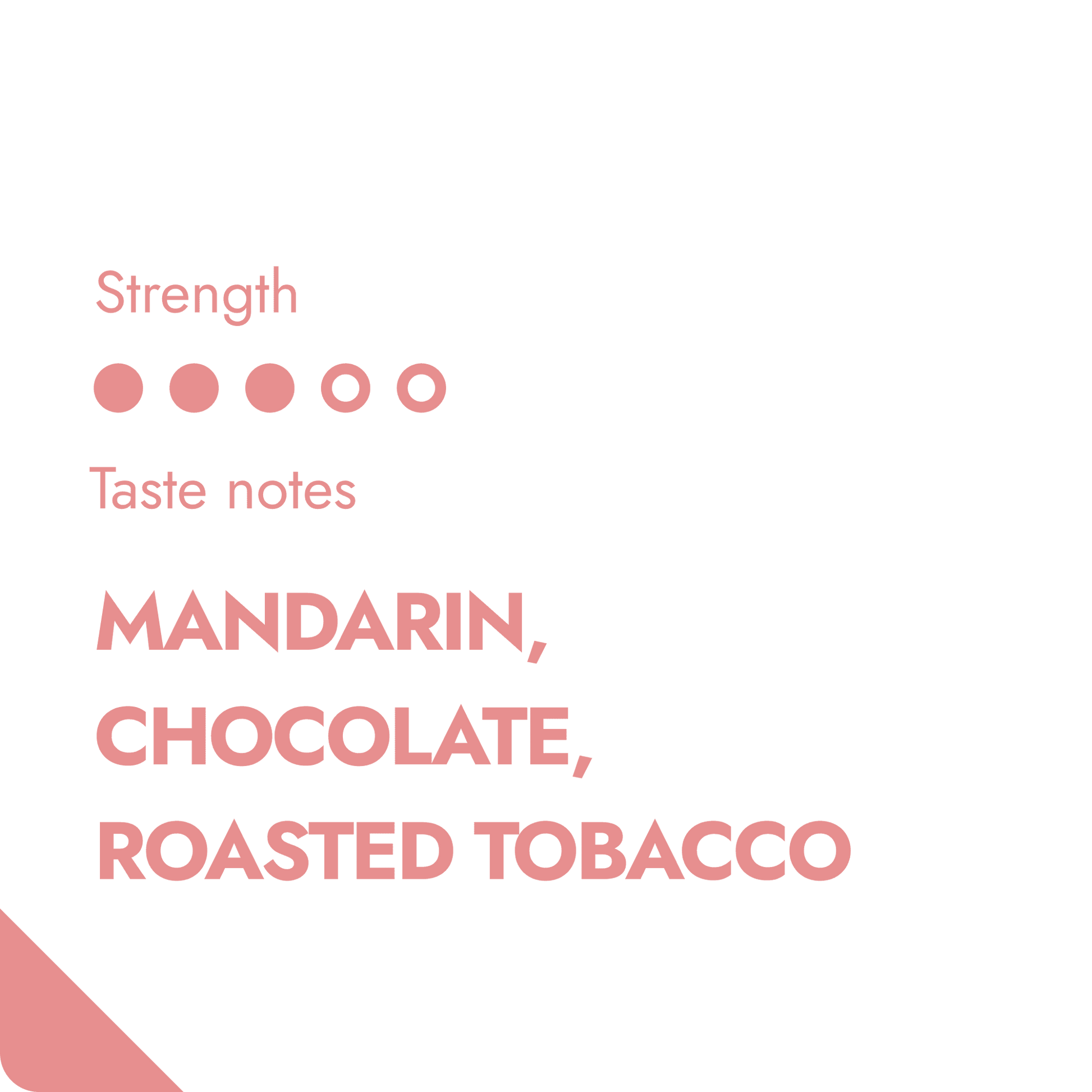 The Brew Company – Nueva Segovia – Nicaragua – 333g – Café en grain - café en grain - visuel 3