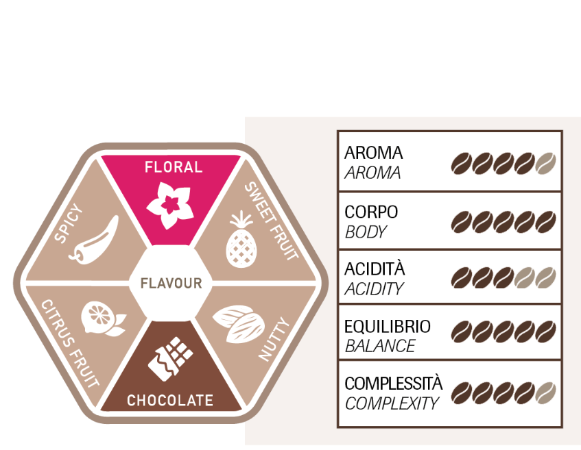 Torrefazione Adriatica – Brésil 100% Arabica – 250g – Café en grain - café en grain - visuel 2