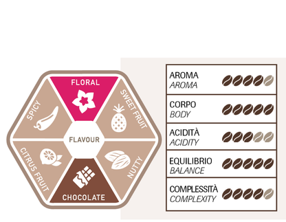 Torrefazione Adriatica – Brésil 100% Arabica – 250g – Café en grain - café en grain - visuel 2