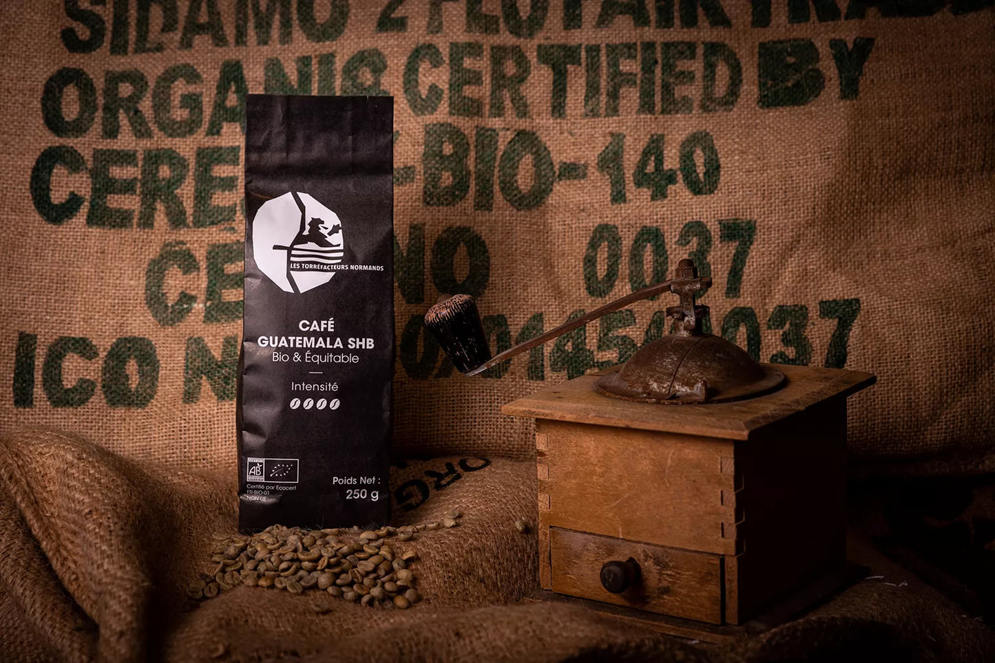 Les Torréfacteurs Normands – Guatemala BIO & Équitable – 250g – Café en grain